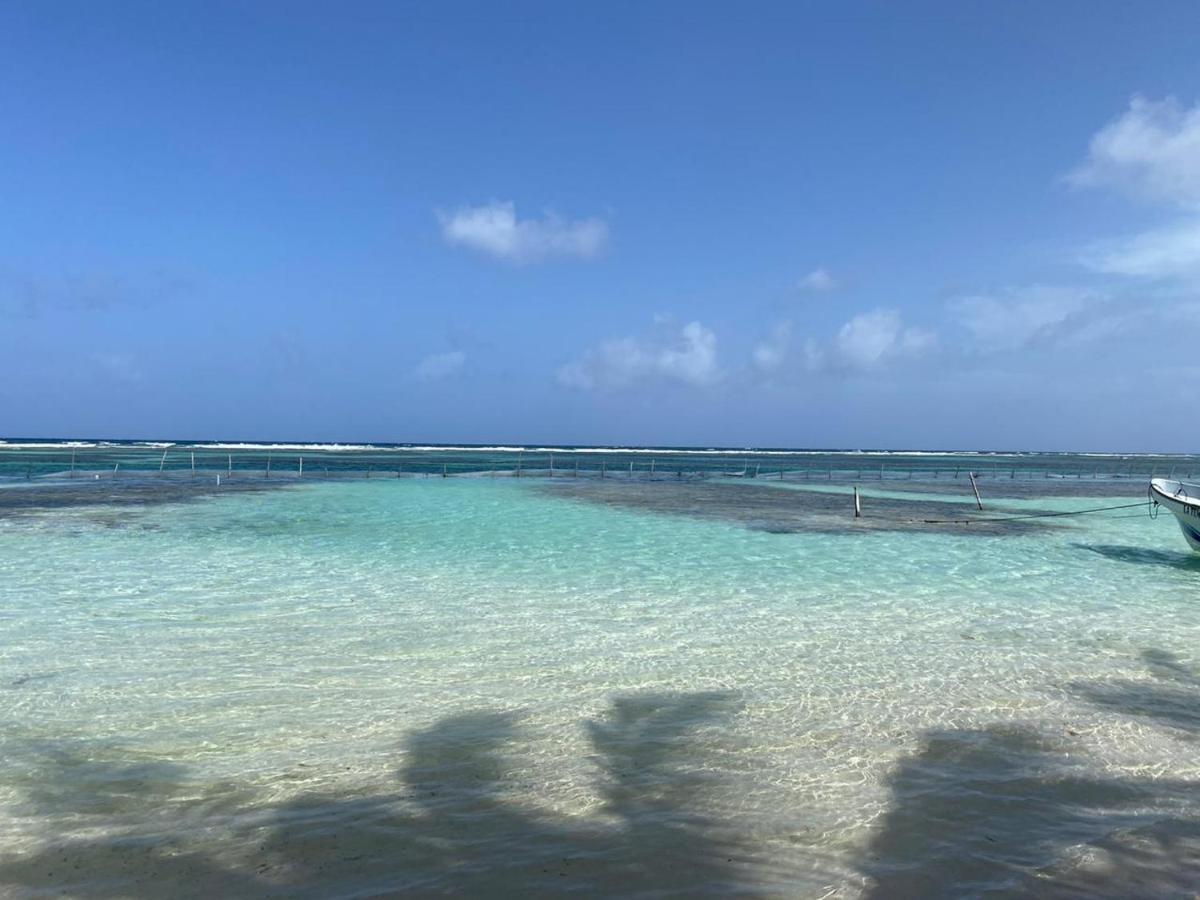 Hotel Blue Reef Frente Al Mar Mahahual Ngoại thất bức ảnh